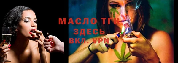 твердый Надым