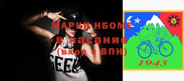 твердый Надым