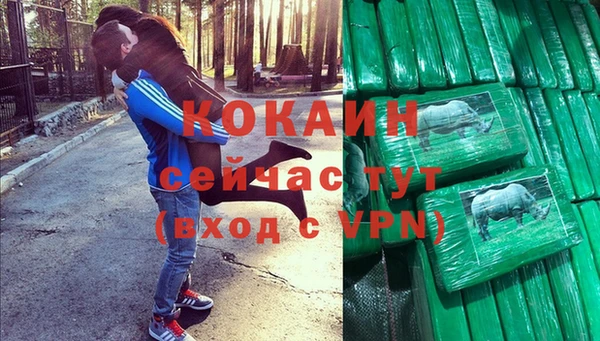 стаф Нея