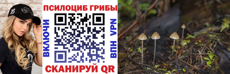 Псилоцибиновые грибы ЛСД KRAKEN зеркало Павлово