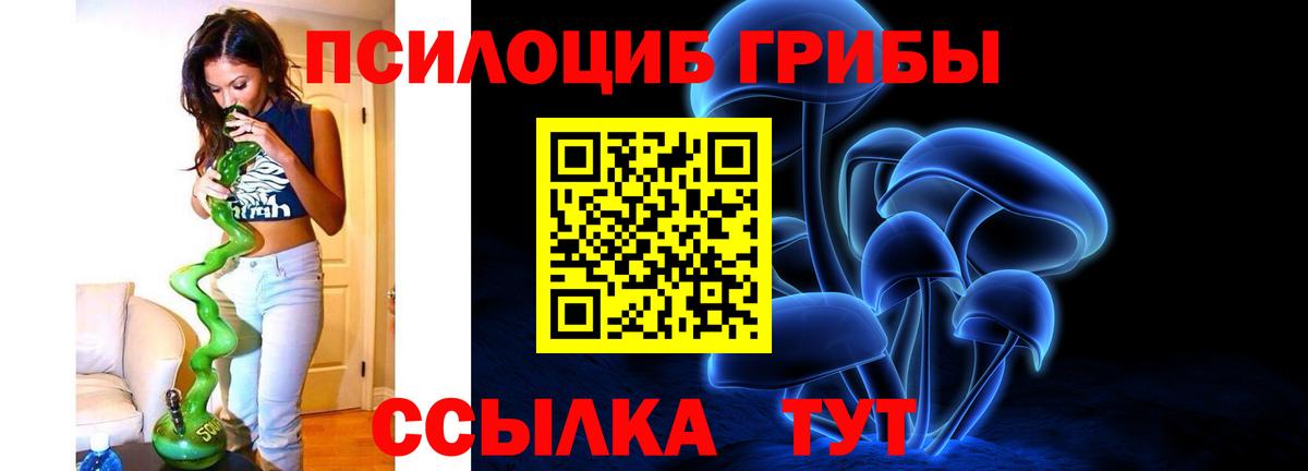 Псилоцибиновые грибы Cubensis  Павлово 